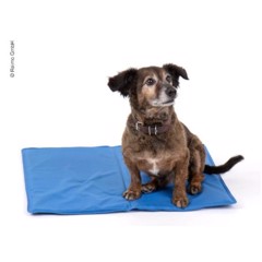 CAMP4 Comfort Cooling Mat koirille